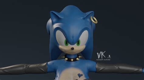 Female sonic r34 - Sonic the Hedgehog is an iconic video game character that has captivated players for decades. With his trademark blue color, speedy movements, and adventurous spirit, Sonic has bec...
